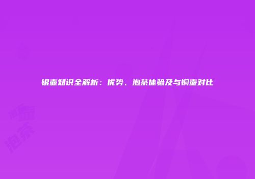 银壶知识全解析：优势、泡茶体验及与铜壶对比