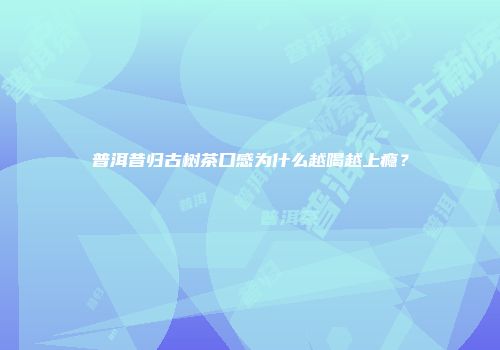 普洱昔归古树茶口感为什么越喝越上瘾？