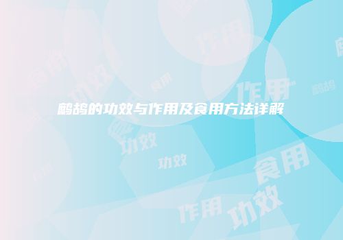 鹧鸪的功效与作用及食用方法详解
