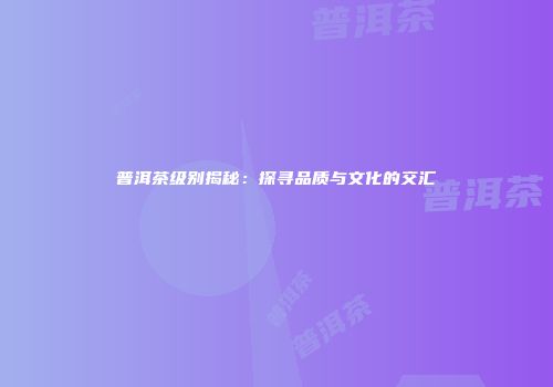 普洱茶级别揭秘：探寻品质与文化的交汇
