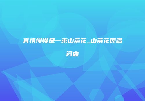 真情慢慢是一束山茶花_山茶花原唱词曲