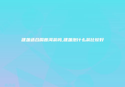 建盏适合喝普洱茶吗,建盏泡什么茶比较好