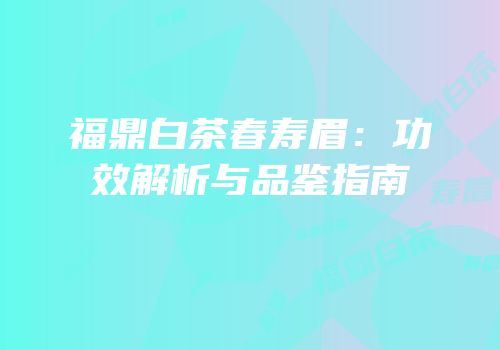 福鼎白茶春寿眉：功效解析与品鉴指南