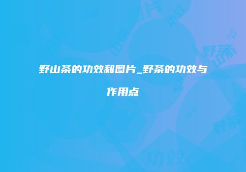 野山茶的功效和图片_野茶的功效与作用点