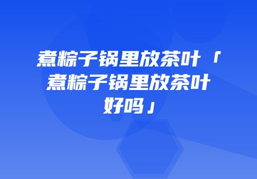 煮粽子锅里放茶叶「煮粽子锅里放茶叶好吗」