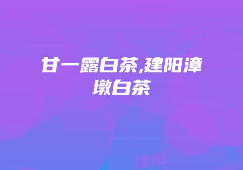 甘一露白茶,建阳漳墩白茶