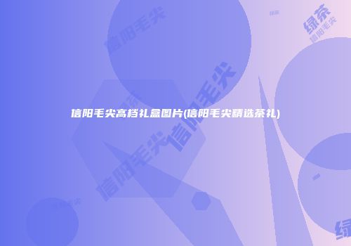 信阳毛尖高档礼盒图片(信阳毛尖精选茶礼)