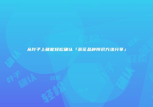 从叶子上就能轻松确认「茶花品种辨识方法分享」