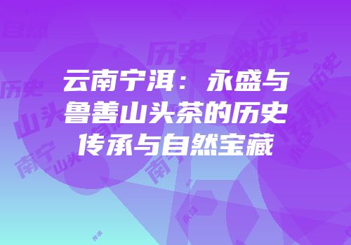 云南宁洱：永盛与鲁善山头茶的历史传承与自然宝藏