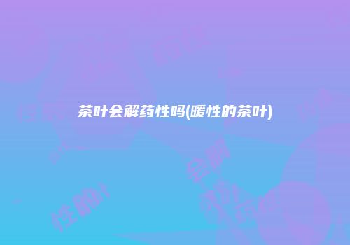 茶叶会解药性吗(暖性的茶叶)