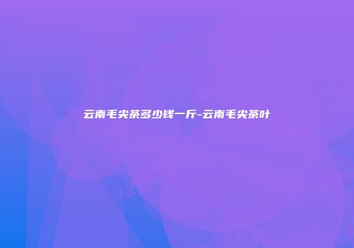 云南毛尖茶多少钱一斤-云南毛尖茶叶