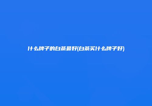 什么牌子的白茶最好(白茶买什么牌子好)