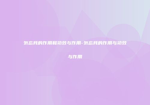 勿忘我的作用和功效与作用-勿忘我的作用与功效与作用