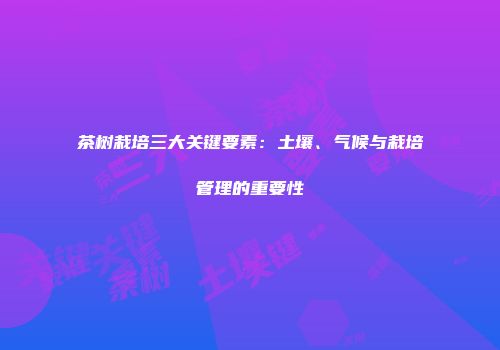 茶树栽培三大关键要素：土壤、气候与栽培管理的重要性