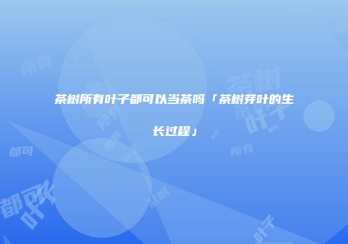 茶树所有叶子都可以当茶吗「茶树芽叶的生长过程」