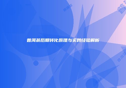 普洱茶后期转化原理与实践经验解析