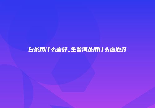 白茶用什么壶好_生普洱茶用什么壶泡好