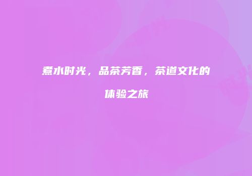 煮水时光，品茶芳香，茶道文化的体验之旅