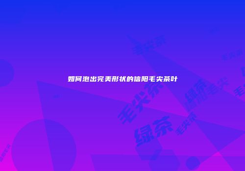 如何泡出完美形状的信阳毛尖茶叶