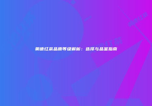 英德红茶品质等级解析：选择与品鉴指南