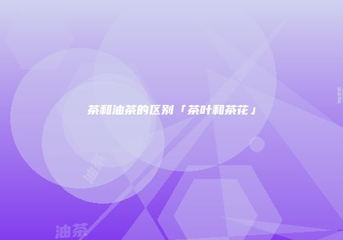 茶和油茶的区别「茶叶和茶花」