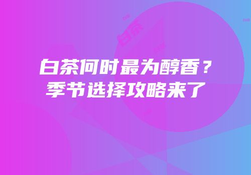 白茶何时最为醇香？季节选择攻略来了