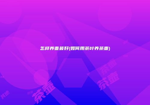 怎样养壶最好(如何用茶叶养茶壶)