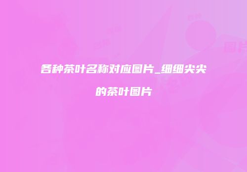 各种茶叶名称对应图片_细细尖尖的茶叶图片