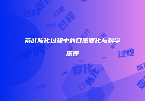 茶叶陈化过程中的口感变化与科学原理