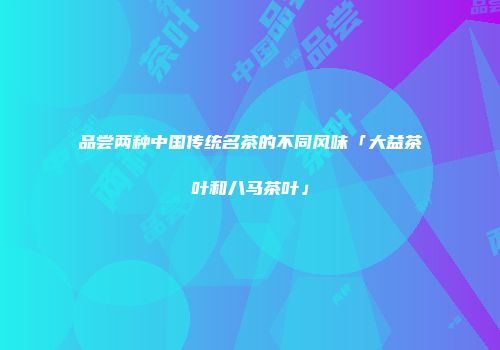 品尝两种中国传统名茶的不同风味「大益茶叶和八马茶叶」
