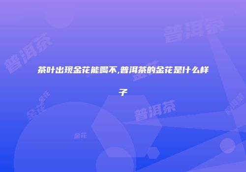 茶叶出现金花能喝不,普洱茶的金花是什么样子