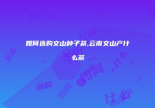 如何选购文山种子茶,云南文山产什么茶