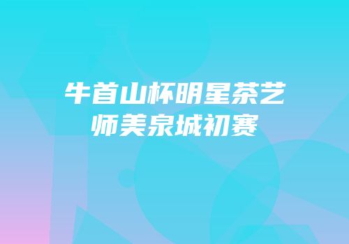 牛首山杯明星茶艺师美泉城初赛