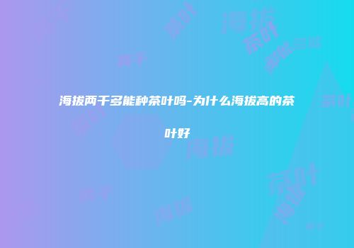 海拔两千多能种茶叶吗-为什么海拔高的茶叶好