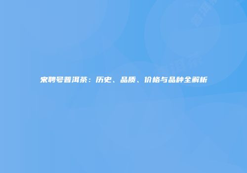 宋聘号普洱茶：历史、品质、价格与品种全解析