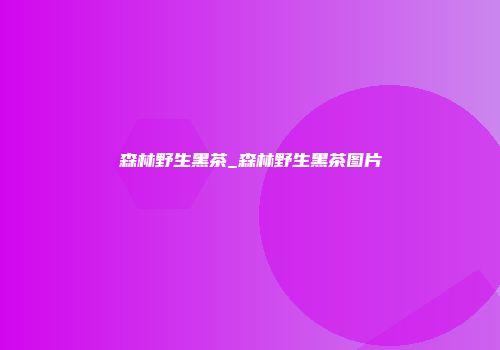 森林野生黑茶_森林野生黑茶图片