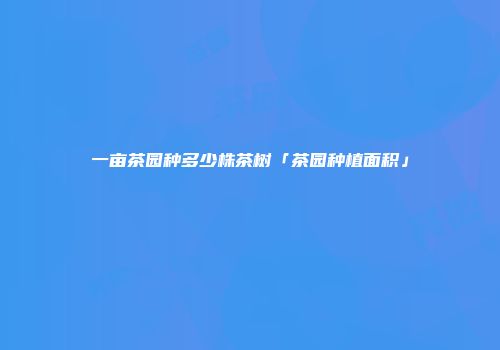 一亩茶园种多少株茶树「茶园种植面积」
