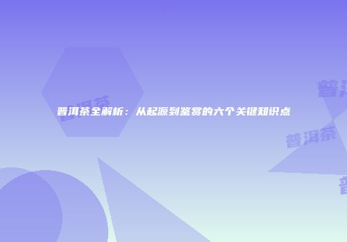 普洱茶全解析：从起源到鉴赏的六个关键知识点