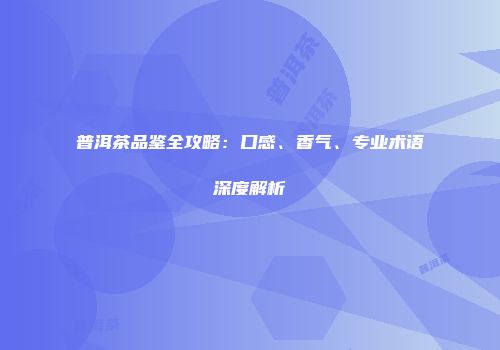 普洱茶品鉴全攻略：口感、香气、专业术语深度解析