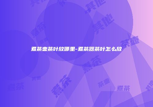 煮茶壶茶叶放哪里-煮茶器茶叶怎么放