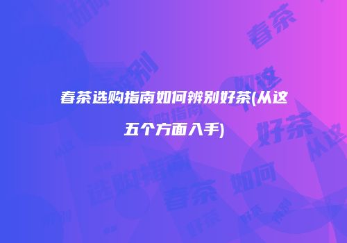春茶选购指南如何辨别好茶(从这五个方面入手)
