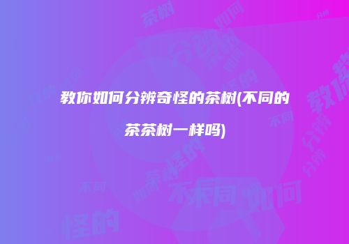 教你如何分辨奇怪的茶树(不同的茶茶树一样吗)