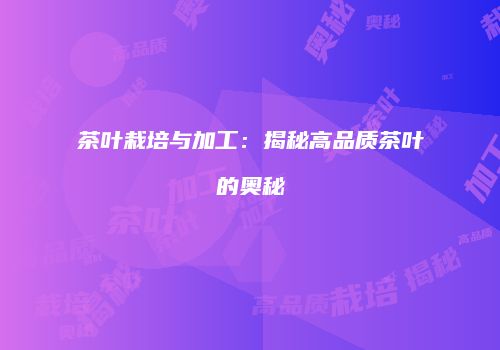 茶叶栽培与加工：揭秘高品质茶叶的奥秘