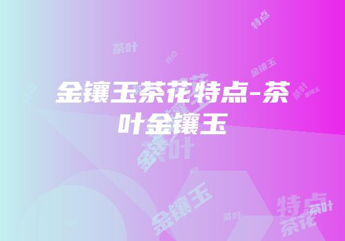 金镶玉茶花特点-茶叶金镶玉