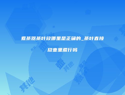 煮茶器茶叶放哪里是正确的_茶叶直接放壶里煮行吗