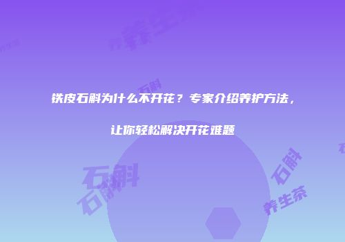 铁皮石斛为什么不开花？专家介绍养护方法，让你轻松解决开花难题
