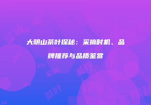 大明山茶叶探秘：采摘时机、品牌推荐与品质鉴赏