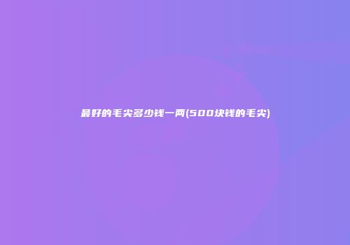 最好的毛尖多少钱一两(500块钱的毛尖)