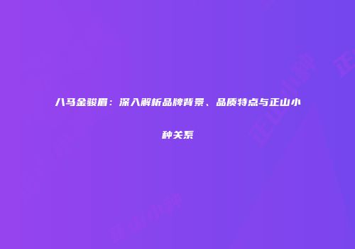 八马金骏眉：深入解析品牌背景、品质特点与正山小种关系