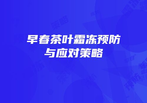 早春茶叶霜冻预防与应对策略